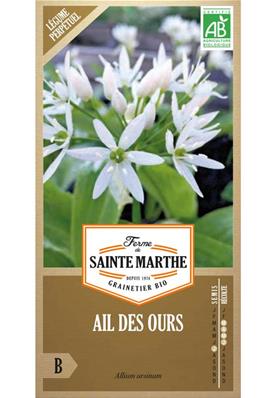 Ail des ours Bio sachet de 50 graines