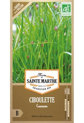 Ciboulette commune Bio sachet de 500 graines